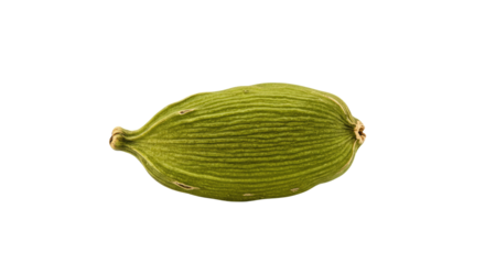 Single Green Cardamom Pod Isolated 1.