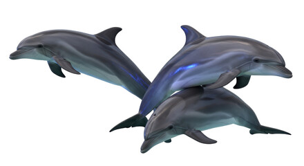 Isolated Group of Dolphins Leaping Together