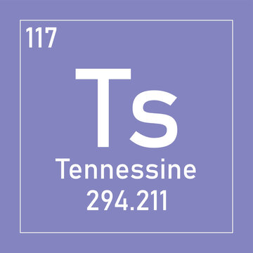 Tennessine (Ts) periodic table element chemistry symbol. Simple flat square vector illustration, simple clean style Icon with molar mass and atomic number for Lab, science or chemistry class.