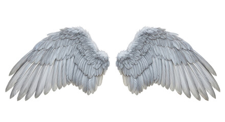 Isolated Angel Wings
