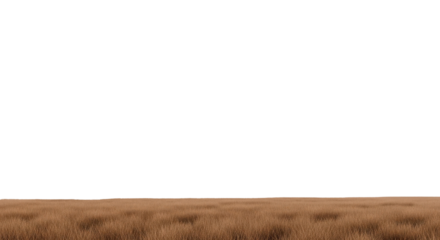 Realistic dry autumn grass ground surface isolated on white background