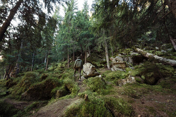 Man in Green Jacket Standing in Mossy Forest: Nature Exploration