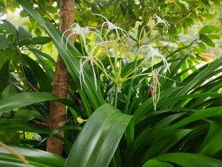 Let&rsquo;s grow this idea! Since &ldquo;plant&rdquo; can branch out in so many directions, here are a few vibrant paths we could take