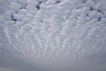 Cirrostratus Enigma Highaltitude sheetlike clouds that create a