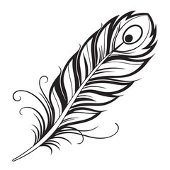 A stylized peacock feather with decorative swirls and an eye