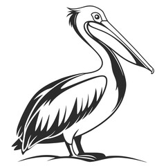 Fototapeta premium Stylized pelican illustration isolated on a white background