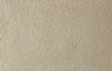 Cardamom ground background and texture