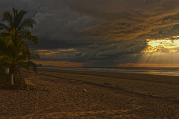 beach Nosara Guanacaste Costa Rica