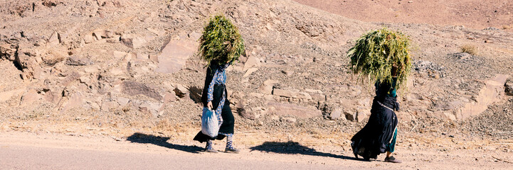Two Moroccan women carry grass on their heads