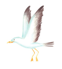 Obraz premium Watercolor illustration of flying seagull isolated on white background. Cute sea bird clipart in cartoon style, perfect for beach party invitations, summer cards or children's marine decor.