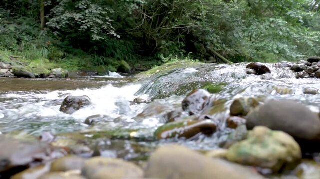 River at ground level point of view