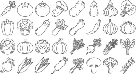 Hand drawn outline collection of diverse vegetables and produce on white background carrot tomato broccoli