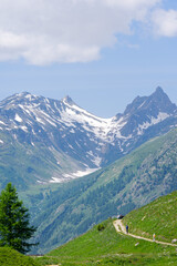 Fototapeta premium Mountain landscape at Lötschental Valley with rock and mountain peak in the Swiss Alps on a sunny late spring day. Photo taken June 19th, 2025, Lötschental, Switzerland.