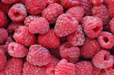 Fresh red ripe raspberries. Raspberries background texture.