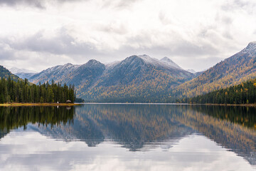 A wide panoramic view of a calm lake perfectly reflecting snow-capped Altai mountains and a colorful autumn forest.