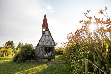 A small wooden rabbit cage with a red pointed roof houses white rabbits. Orange flowers and plants surround the structure under bright sunlight.