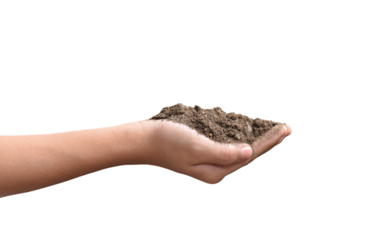 Pile of soil in hands isolated on transparent background, PNG Format