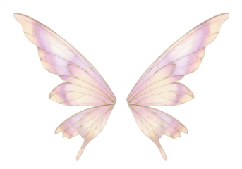Delicate, translucent fairy wings with intricate veining and iridescent lavender, pastel pink, and golden yellow shimmer, gracefully suspended on a transparent background with copy space, perfect