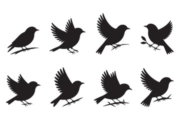 Black Bird Silhouette Icon Set | Flying Bird Shadow Vector Collection | Wildlife Clipart Pack