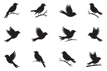Black Bird Silhouette Icon Set | Flying Bird Shadow Vector Collection | Wildlife Clipart Pack