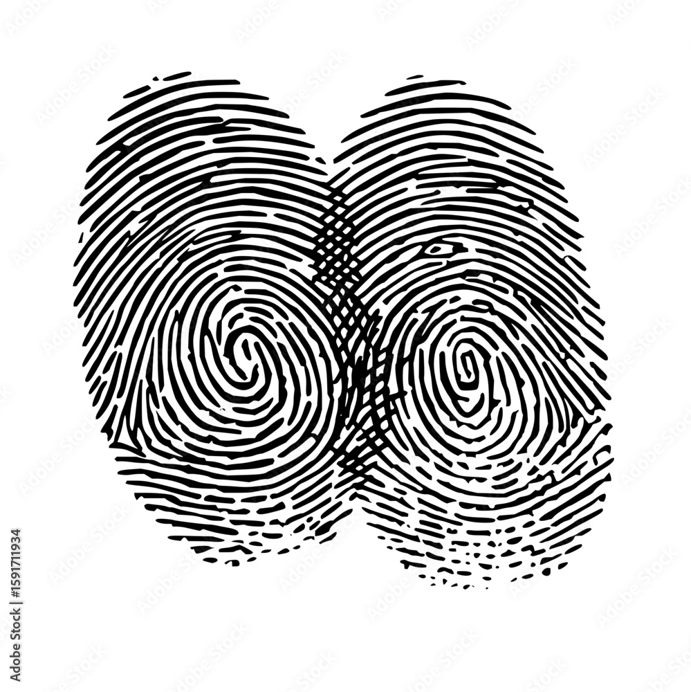 Poster two overlapping fingerprints in black ink on a white background showing unique ridge patterns and sw