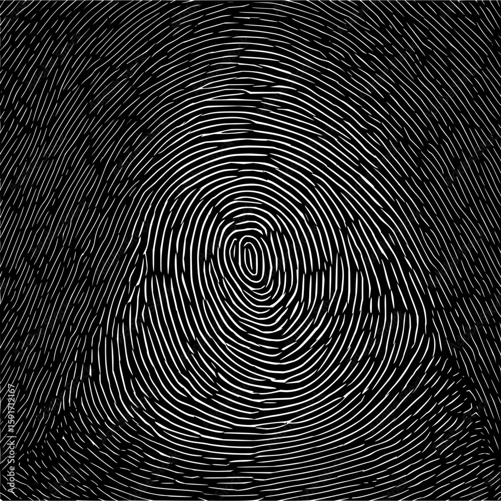 Poster abstract fingerprint pattern with concentric white lines on a black background creating a unique des
