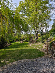 Green garden path surrounded by trees and stone landscaping on a sunny spring day, creating a peaceful natural setting.