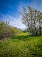 Grassy footpath through a spring meadow with trees and blue sky, hiking trail signs visible in the distance.