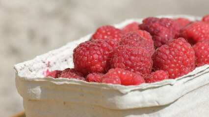 Fresh Red Raspberries in a Basket 