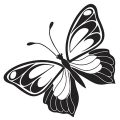 black and white butterfly