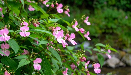 Fototapeta premium Lush pink flowers cascading over a stream