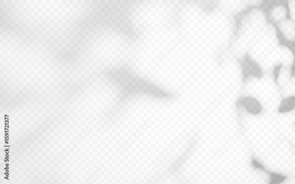 Wall mural abstract shadow overlay from tree branch on a transparent background.