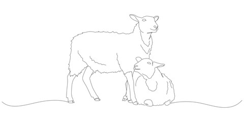 Continuous One Line Drawing of Two Sheep, One Standing and One Sitting
