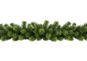 A natural green pine tree branch garland, ideal for christmas and winter decorations, isolated on a transparent background
