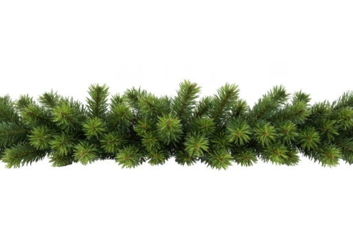 A natural green pine tree branch garland, ideal for christmas and winter decorations, isolated on a transparent background
