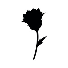 Minimal carnation flower bud illustration Line Art Vector illustration