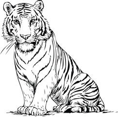 Obraz premium Sitting Tiger Line Art Illustration