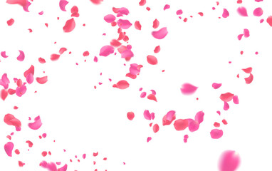 Vibrant Pink Flower Petals Falling Freely Creating Atmosphere of Love Romance and Joy  Perfect Background for Weddings Valentine's Day  or Designs That Require Sweetness and Enchantment