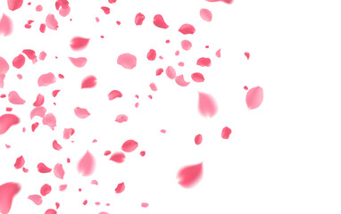 Vibrant Pink Flower Petals Falling Freely Creating Atmosphere of Love Romance and Joy  Perfect Background for Weddings Valentine's Day  or Designs That Require Sweetness and Enchantment