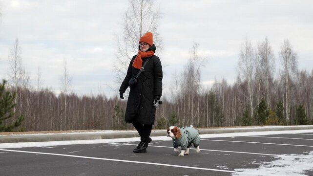Taking a Winter Walk with Your Dog Enjoy a delightful Winter Walk immersed in Nature, where you can appreciate the serene beauty that surrounds you and bond with your furry friend