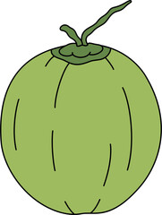 clipart vector illustration of Coconut