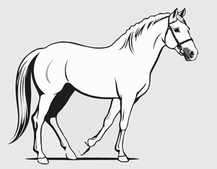 Sophisticated Line Art Illustration of a Horse Head, Suitable for Equestrian Clubs, Branding, and Wall Art.