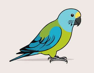 Parakeet
