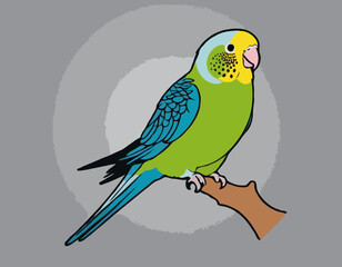 Parakeet