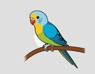 Parakeet