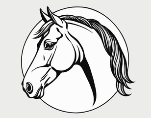 Sophisticated Line Art Illustration of a Horse Head, Suitable for Equestrian Clubs, Branding, and Wall Art.