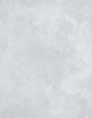 Fototapeta premium Light gray textured background