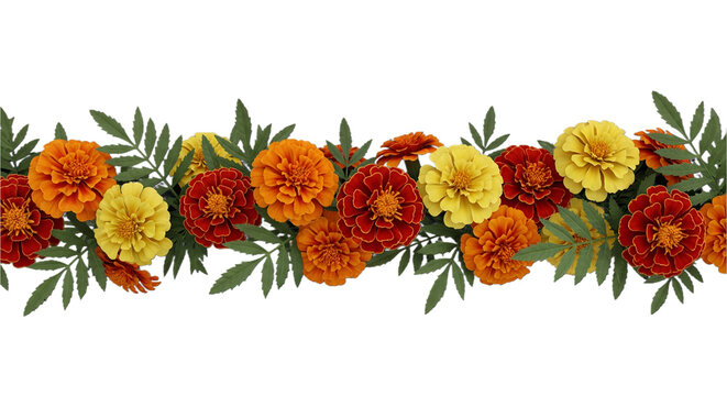 Vibrant orange & red marigolds border on transparent BG – perfect for Mid-Autumn Festival, Diwali decor, or Day of the Dead celebrations! Stunning stock image for cultural designs