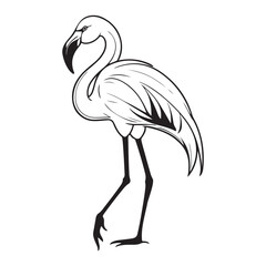 Black and white line art illustration of a flamingo standing on one leg bird animal