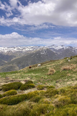 Naklejka premium Hiking trail to Mulhacen peak in the spring in Sierra Nevada National Park, Spain